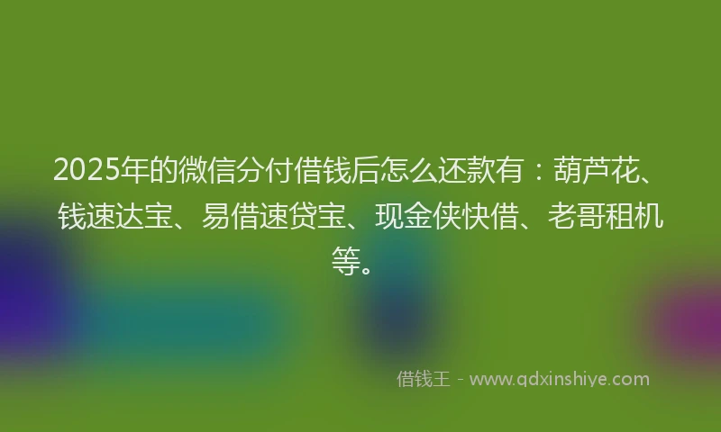 2025年的微信分付借钱后怎么还款有：葫芦花、钱速达宝、易借速贷宝、现金侠快借、老哥租机等。