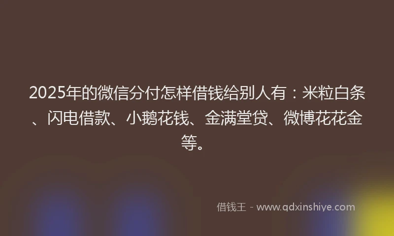 2025年的微信分付怎样借钱给别人有：米粒白条、闪电借款、小鹅花钱、金满堂贷、微博花花金等。