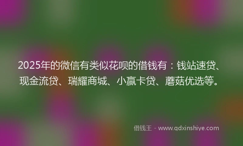 2025年的微信有类似花呗的借钱有：钱站速贷、现金流贷、瑞耀商城、小赢卡贷、蘑菇优选等。