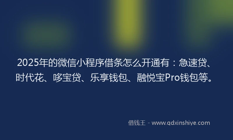 2025年的微信小程序借条怎么开通有：急速贷、时代花、哆宝贷、乐享钱包、融悦宝Pro钱包等。