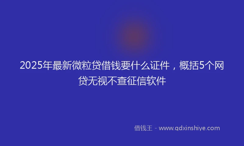 2025年最新微粒贷借钱要什么证件，概括5个网贷无视不查征信软件