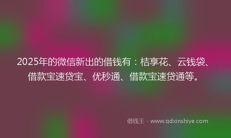 2025年的微信新出的借钱有：桔享花、云钱袋、借款宝速贷宝、优秒通、借款宝速贷通等。
