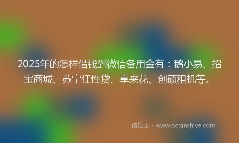2025年的怎样借钱到微信备用金有：鹅小易、招宝商城、苏宁任性贷、享来花、创硕租机等。