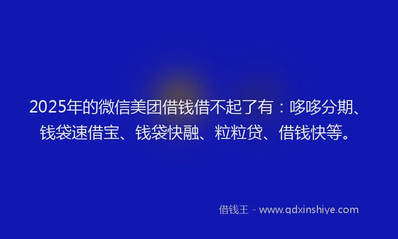 2025年的微信美团借钱借不起了有：哆哆分期、钱袋速借宝、钱袋快融、粒粒贷、借钱快等。