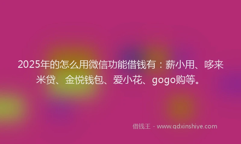 2025年的怎么用微信功能借钱有：薪小用、哆来米贷、金悦钱包、爱小花、gogo购等。