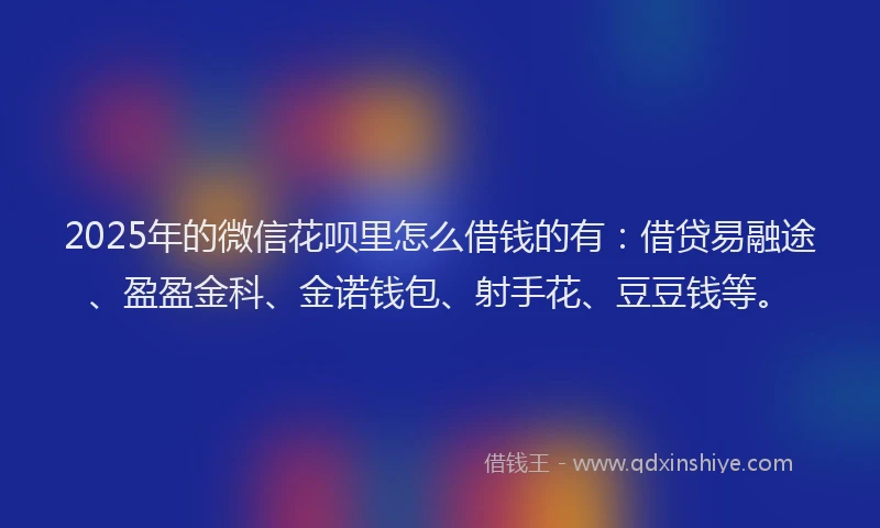 2025年的微信花呗里怎么借钱的有：借贷易融途、盈盈金科、金诺钱包、射手花、豆豆钱等。