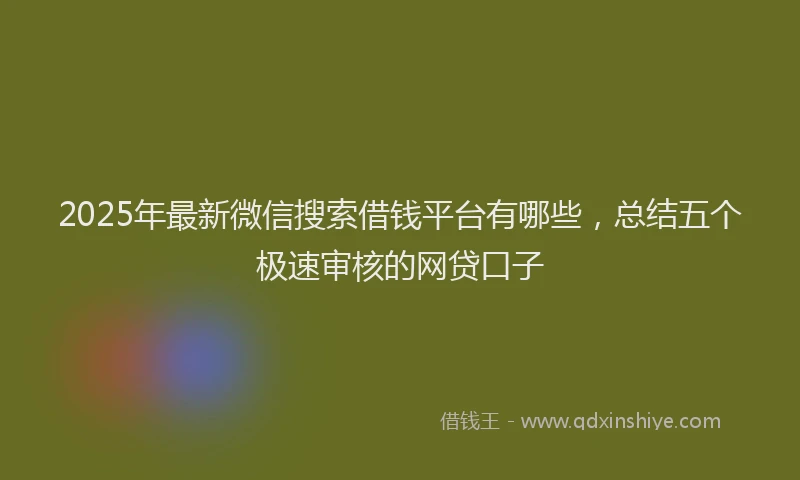 2025年最新微信搜索借钱平台有哪些，总结五个极速审核的网贷口子