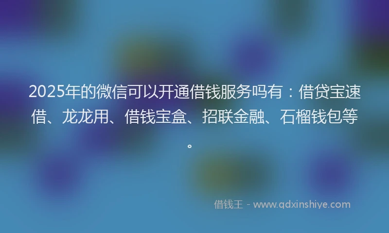 2025年的微信可以开通借钱服务吗有：借贷宝速借、龙龙用、借钱宝盒、招联金融、石榴钱包等。