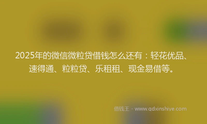 2025年的微信微粒贷借钱怎么还有：轻花优品、速得通、粒粒贷、乐租租、现金易借等。