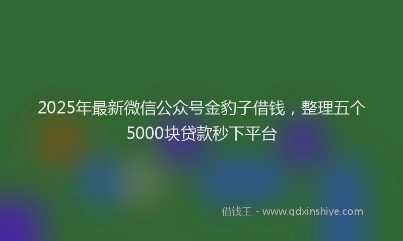 2025年最新微信公众号金豹子借钱，整理五个5000块贷款秒下平台