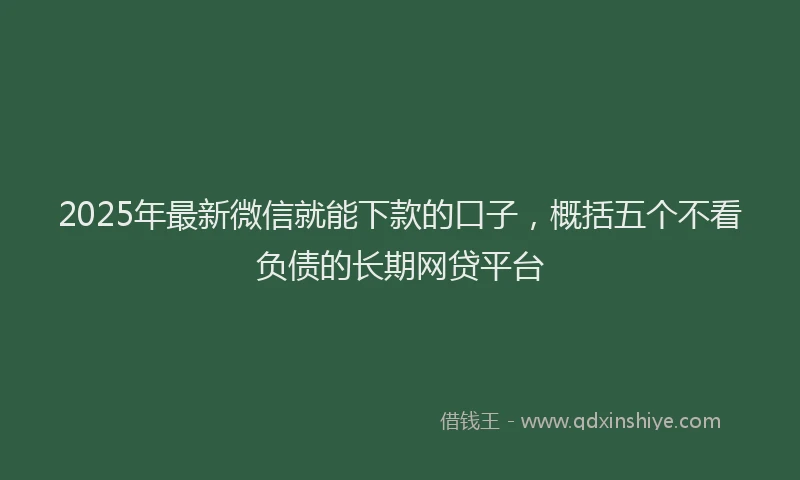2025年最新微信就能下款的口子，概括五个不看负债的长期网贷平台