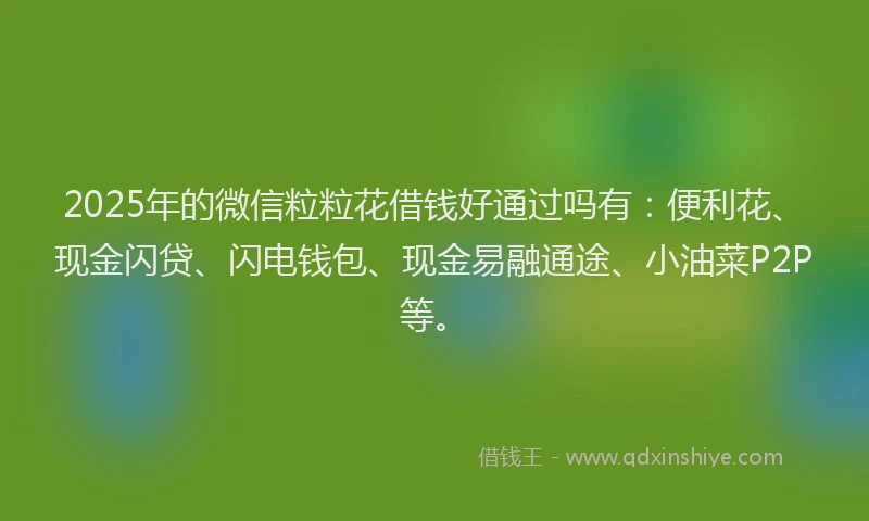 2025年的微信粒粒花借钱好通过吗有：便利花、现金闪贷、闪电钱包、现金易融通途、小油菜P2P等。