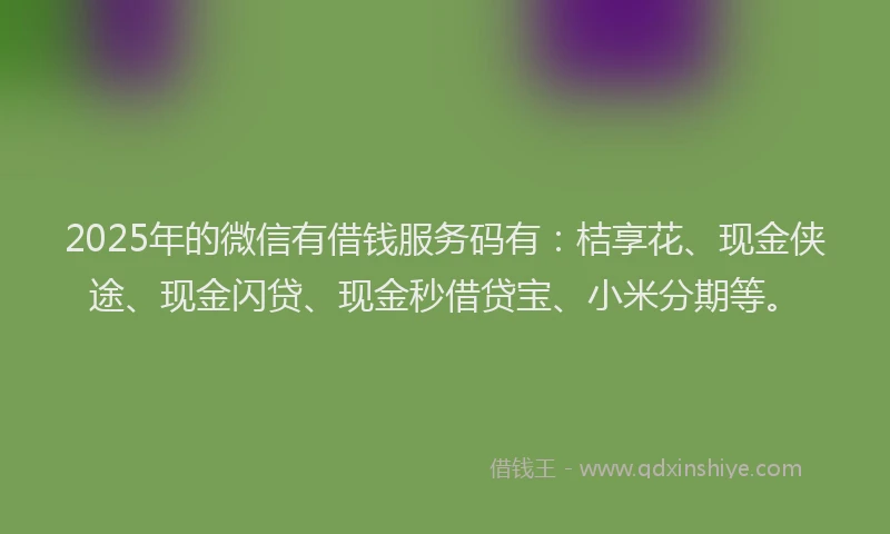 2025年的微信有借钱服务码有：桔享花、现金侠途、现金闪贷、现金秒借贷宝、小米分期等。