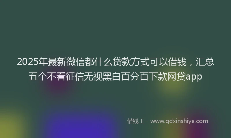 2025年最新微信都什么贷款方式可以借钱，汇总五个不看征信无视黑白百分百下款网贷app