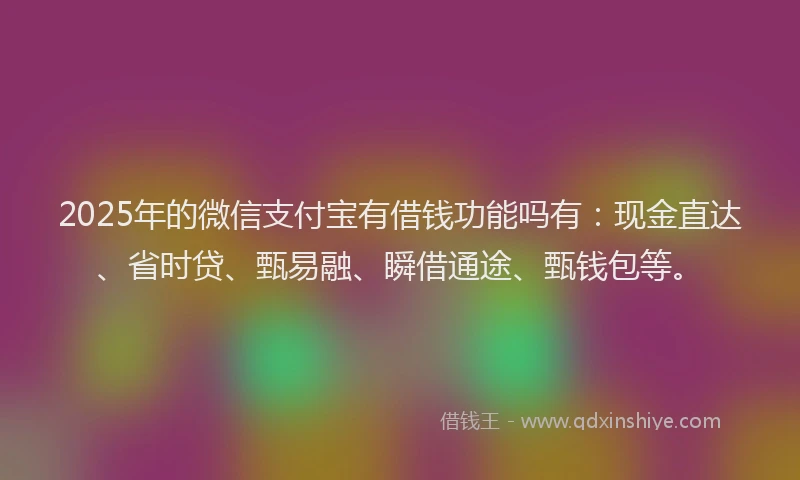 2025年的微信支付宝有借钱功能吗有：现金直达、省时贷、甄易融、瞬借通途、甄钱包等。