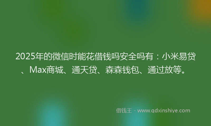 2025年的微信时能花借钱吗安全吗有：小米易贷、Max商城、通天贷、森森钱包、通过放等。