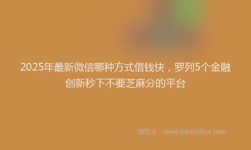 2025年最新微信哪种方式借钱快，罗列5个金融创新秒下不要芝麻分的平台