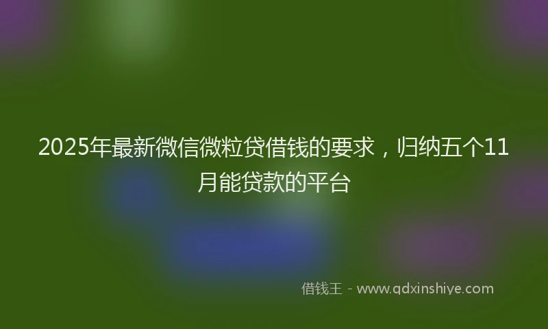 2025年最新微信微粒贷借钱的要求，归纳五个11月能贷款的平台