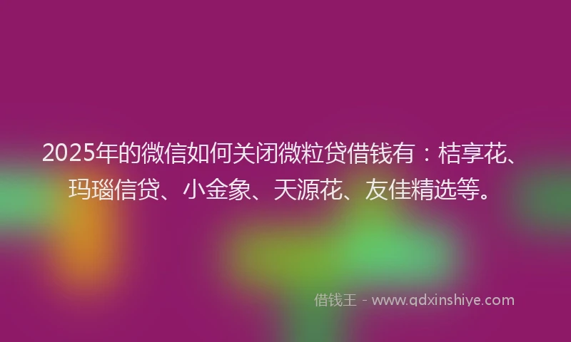 2025年的微信如何关闭微粒贷借钱有：桔享花、玛瑙信贷、小金象、天源花、友佳精选等。