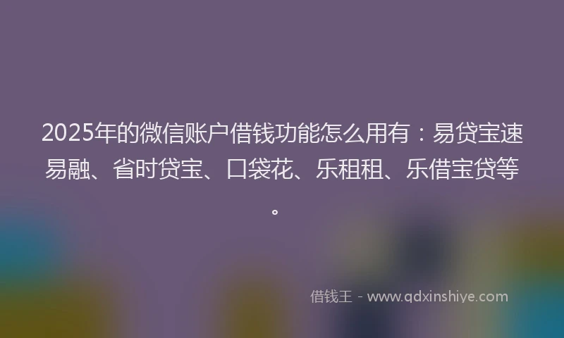 2025年的微信账户借钱功能怎么用有：易贷宝速易融、省时贷宝、口袋花、乐租租、乐借宝贷等。
