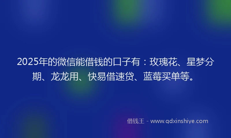 2025年的微信能借钱的口子有：玫瑰花、星梦分期、龙龙用、快易借速贷、蓝莓买单等。