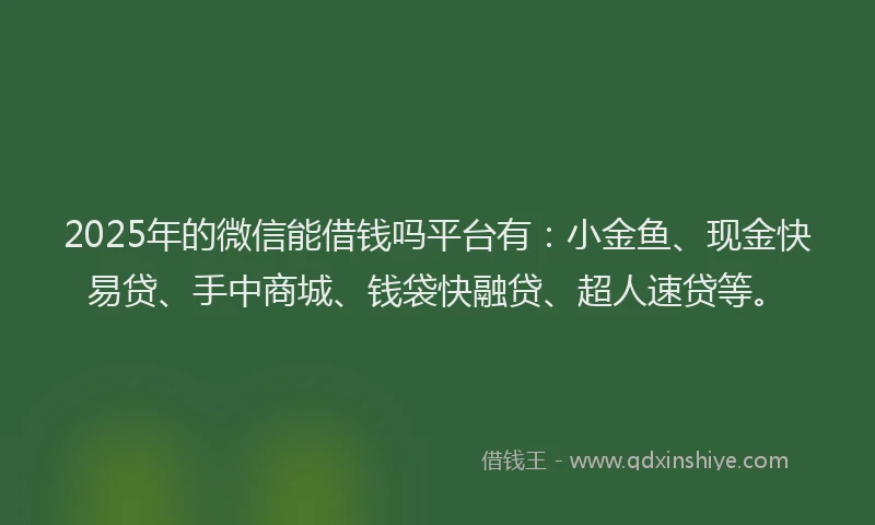 2025年的微信能借钱吗平台有：小金鱼、现金快易贷、手中商城、钱袋快融贷、超人速贷等。