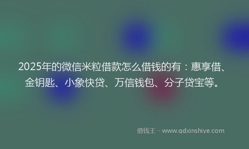 2025年的微信米粒借款怎么借钱的有：惠享借、金钥匙、小象快贷、万信钱包、分子贷宝等。