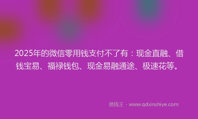 2025年的微信零用钱支付不了有:现金直融、借钱宝易、福禄钱包、现金易融通途、极速花等。