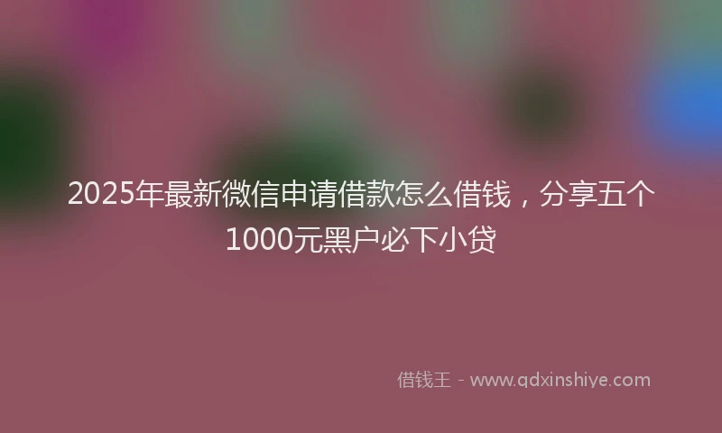 2025年最新微信申请借款怎么借钱，分享五个1000元黑户必下小贷