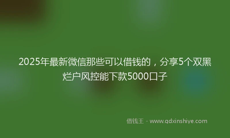 2025年最新微信那些可以借钱的，分享5个双黑烂户风控能下款5000口子