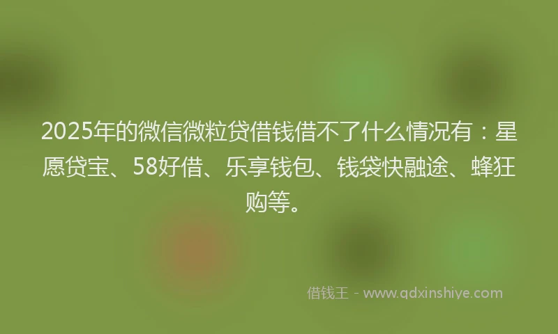 2025年的微信微粒贷借钱借不了什么情况有：星愿贷宝、58好借、乐享钱包、钱袋快融途、蜂狂购等。
