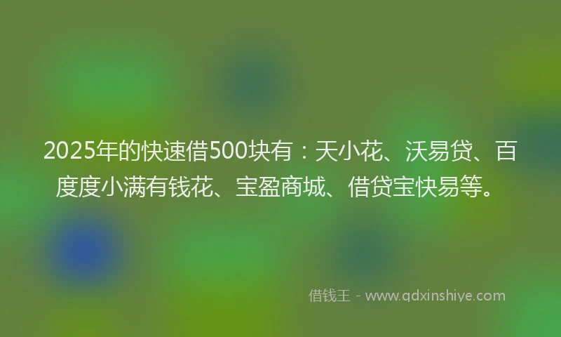 2025年的快速借500块有：天小花、沃易贷、百度度小满有钱花、宝盈商城、借贷宝快易等。