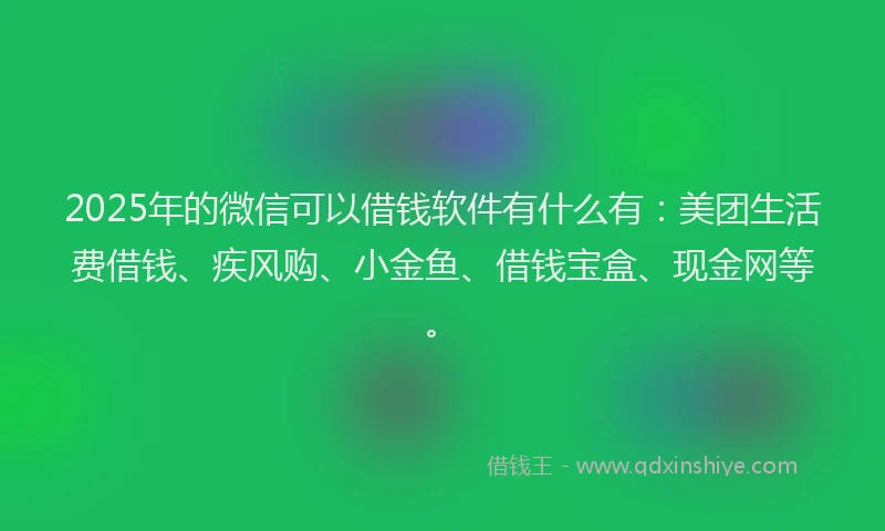 2025年的微信可以借钱软件有什么有：美团生活费借钱、疾风购、小金鱼、借钱宝盒、现金网等。