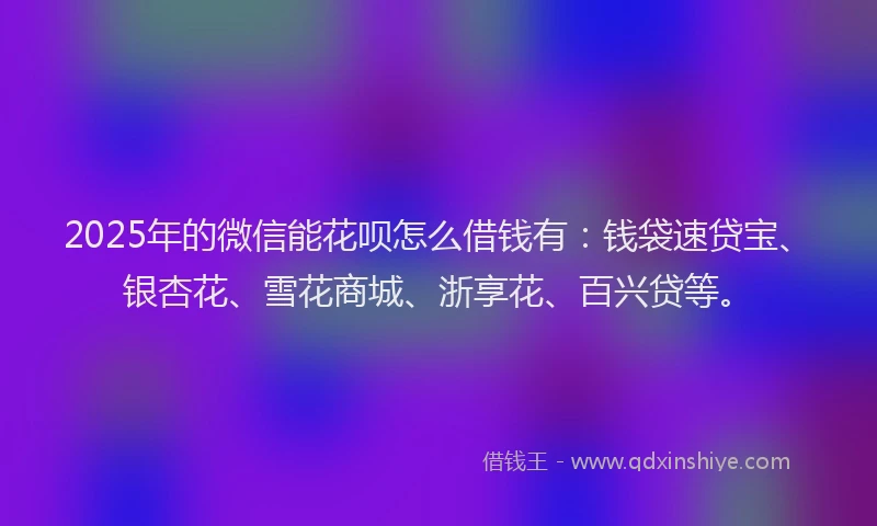 2025年的微信能花呗怎么借钱有：钱袋速贷宝、银杏花、雪花商城、浙享花、百兴贷等。
