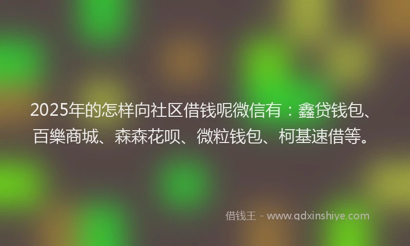 2025年的怎样向社区借钱呢微信有：鑫贷钱包、百樂商城、森森花呗、微粒钱包、柯基速借等。