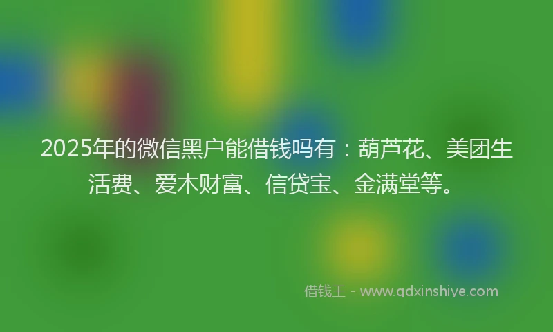 2025年的微信黑户能借钱吗有：葫芦花、美团生活费、爱木财富、信贷宝、金满堂等。