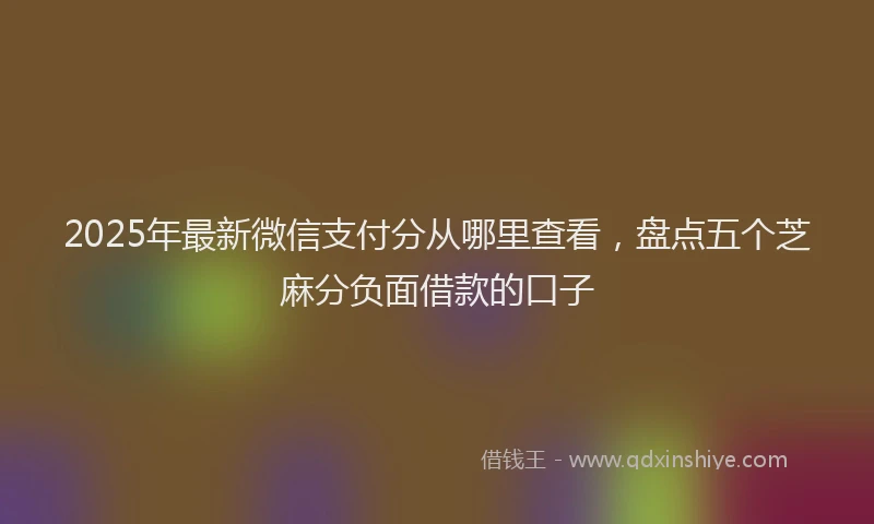 2025年最新微信支付分从哪里查看，盘点五个芝麻分负面借款的口子