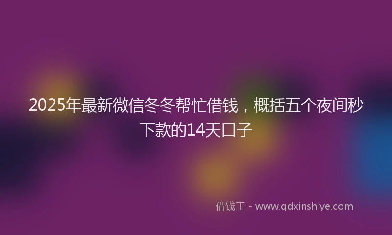2025年最新微信冬冬帮忙借钱，概括五个夜间秒下款的14天口子