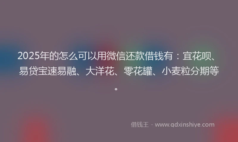 2025年的怎么可以用微信还款借钱有：宜花呗、易贷宝速易融、大洋花、零花罐、小麦粒分期等。