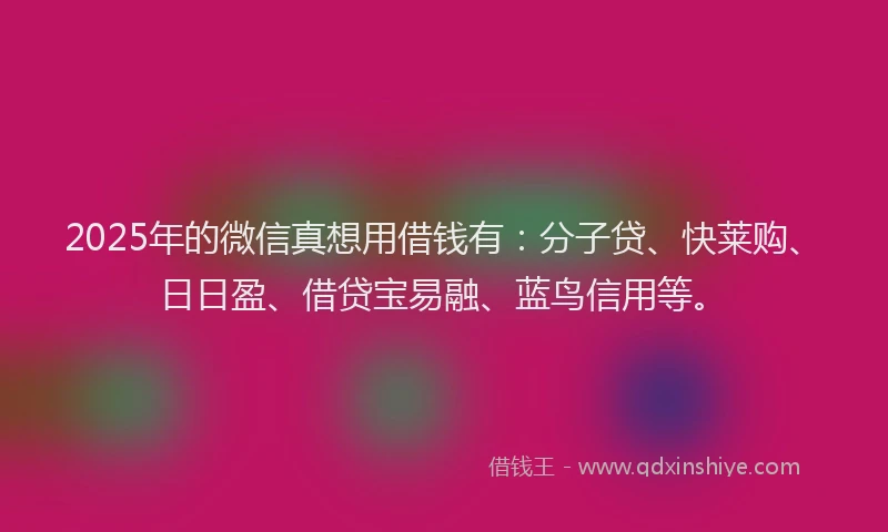 2025年的微信真想用借钱有：分子贷、快莱购、日日盈、借贷宝易融、蓝鸟信用等。