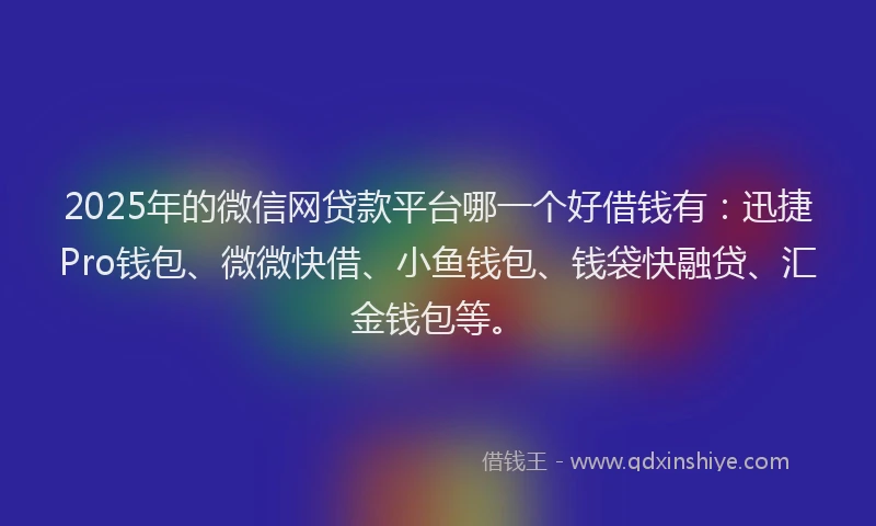 2025年的微信网贷款平台哪一个好借钱有：迅捷Pro钱包、微微快借、小鱼钱包、钱袋快融贷、汇金钱包等。