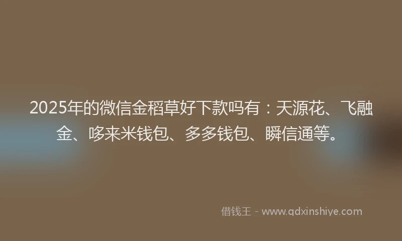 2025年的微信金稻草好下款吗有:天源花、飞融金、哆来米钱包、多多钱包、瞬信通等。