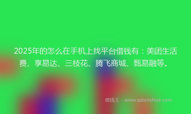 2025年的怎么在手机上找平台借钱有：美团生活费、享易达、三枝花、腾飞商城、甄易融等。