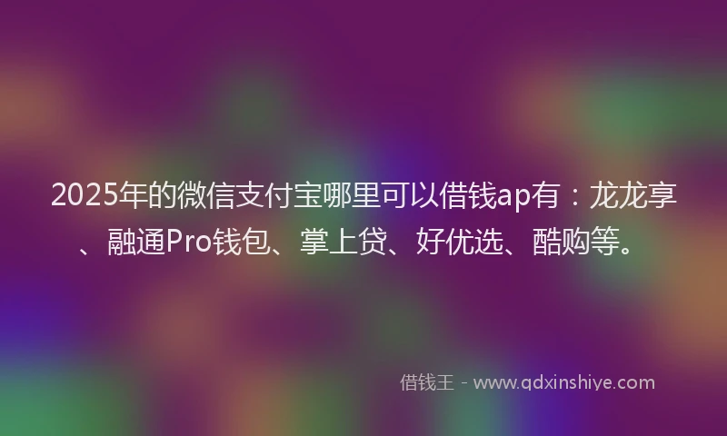 2025年的微信支付宝哪里可以借钱ap有：龙龙享、融通Pro钱包、掌上贷、好优选、酷购等。