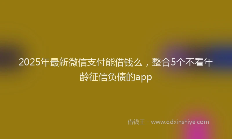 2025年最新微信支付能借钱么，整合5个不看年龄征信负债的app