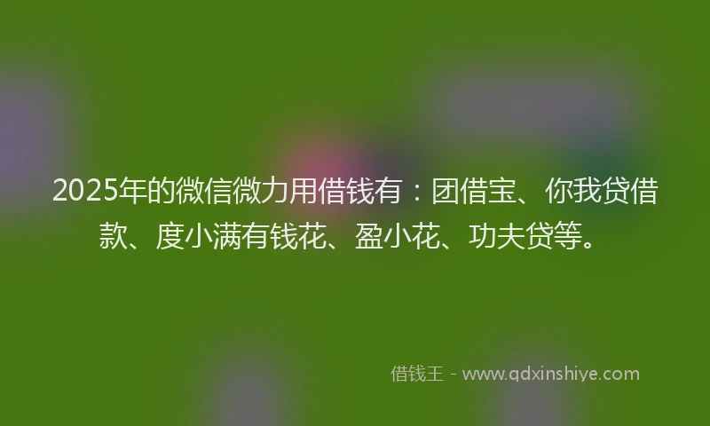 2025年的微信微力用借钱有：团借宝、你我贷借款、度小满有钱花、盈小花、功夫贷等。