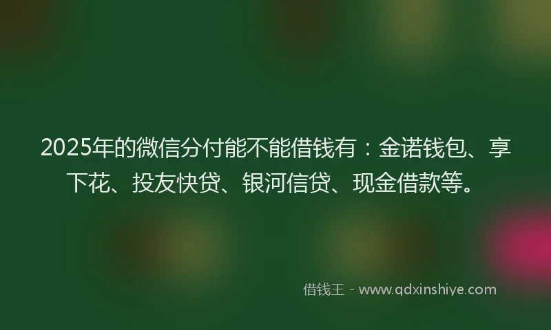 2025年的微信分付能不能借钱有：金诺钱包、享下花、投友快贷、银河信贷、现金借款等。