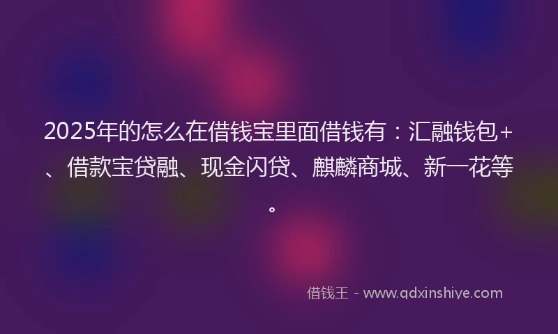 2025年的怎么在借钱宝里面借钱有：汇融钱包+、借款宝贷融、现金闪贷、麒麟商城、新一花等。