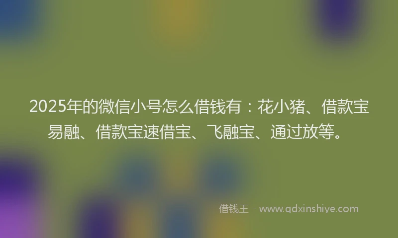 2025年的微信小号怎么借钱有：花小猪、借款宝易融、借款宝速借宝、飞融宝、通过放等。