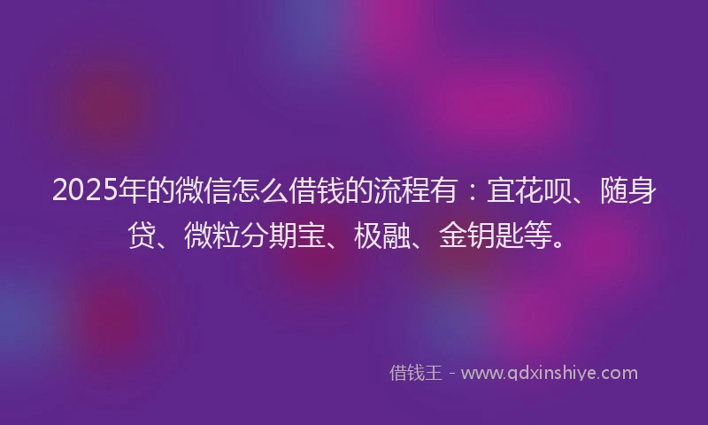 2025年的微信怎么借钱的流程有：宜花呗、随身贷、微粒分期宝、极融、金钥匙等。